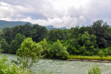 Vahşi Yaşam Kafkas Dağları, Hızlı Dağ Nehri ve Yoğun Ormanlar