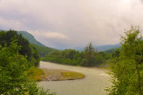 Vahşi Yaşam Kafkas Dağları, Hızlı Dağ Nehri ve Yoğun Ormanlar