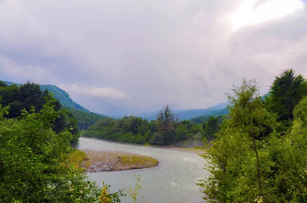 Vahşi Yaşam Kafkas Dağları, Hızlı Dağ Nehri ve Yoğun Ormanlar