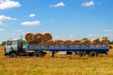 Tarım makineleri tarafından samanların hasat edilmesi üzerine tarım çalışmaları