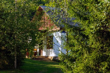 Dağlarda, ağaçların arasında yeşil bir çimenlikte konforlu bir kır evi.