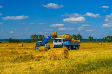 Tarım makineleri tarafından samanların hasat edilmesi üzerine tarım çalışmaları