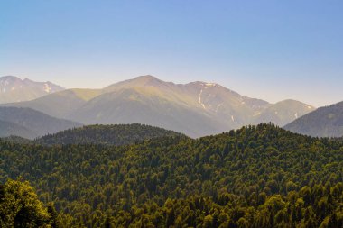 Kafkasya Dağları eteklerindeki dağ ormanı manzarası, Adygea, Rusya