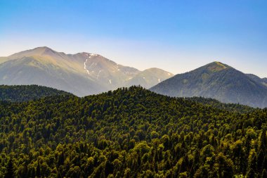 Kafkasya Dağları eteklerindeki dağ ormanı manzarası, Adygea, Rusya