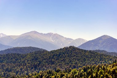 Kafkasya Dağları eteklerindeki dağ ormanı manzarası, Adygea, Rusya