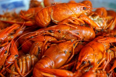 Haşlanmış kerevit - harika bir bira atıştırmalığı.