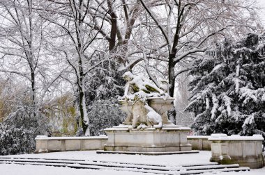 Düsseldorf, Kuzey Ren-Vestfalya, Almanya - 07 Aralık 2012: Hofgarten 'de kış, Almanya' nın ilk halk parkı olan Dusseldorf 'taki merkez parktır..