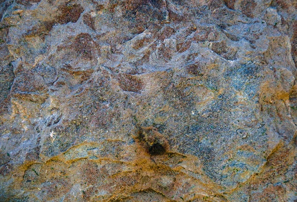 Grey Brown Rock Texture Background — Stock Photo, Image