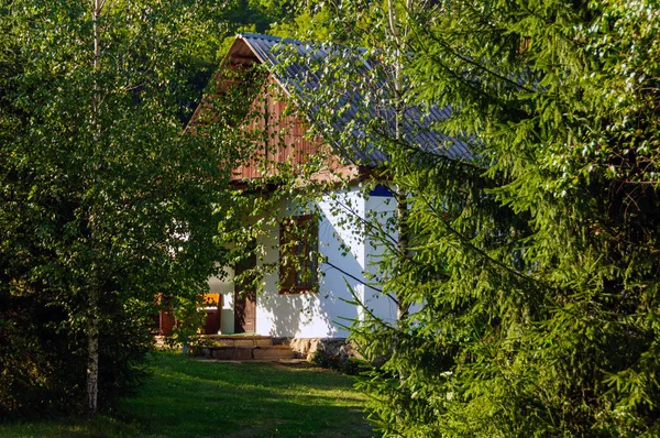 Dağlarda, ağaçların arasında yeşil bir çimenlikte konforlu bir kır evi.