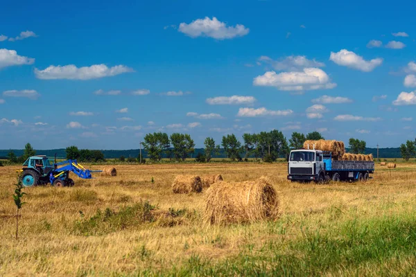 Agricultural work on the harvesting of hay by agricultural machinery