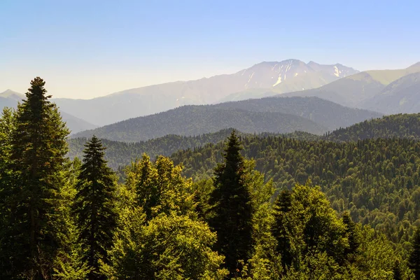 Paisaje Del Bosque Montaña Pie Las Montañas Del Cáucaso Adygea — Foto de Stock