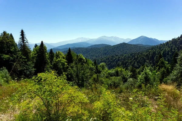 Paisagem Floresta Montanhosa Sopé Das Montanhas Cáucaso Adygea Rússia — Fotografia de Stock