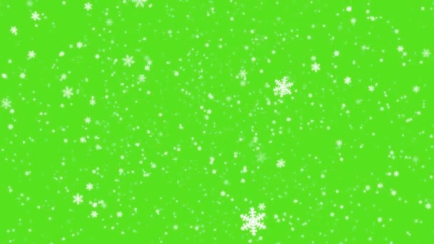 Izolovaný Padající Sníh Zelené Obrazovce Realistický Sníh Padá Před Zelenou — Stock video