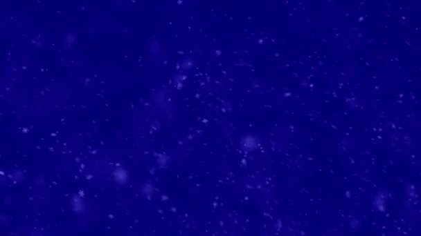 ストックビデオ 雪の落下 吹雪の中で濃い雪片 ループモーション 背景休日の冬 チョマの背景 — ストック動画