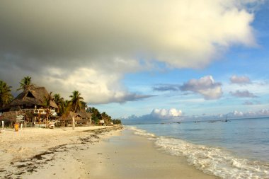 Paradise beach in exotic Zanzibar seacoast in summer morning clipart