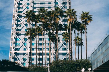 Yeşil avuç içi ve Port Olimpic, Barselona, İspanya, modern binada görünümü