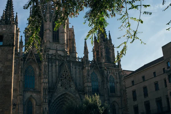 Vista Panorámica Fachada Catedral Gótica Contra Cielo Azul Barcelona España — Foto de Stock