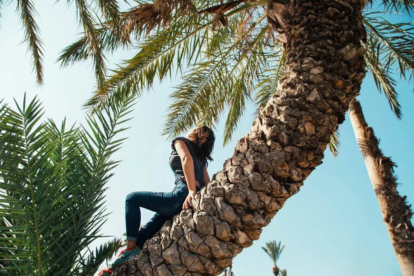 Jovem Mulher Sentada Posando Tronco Palma Parque Tel Aviv Israel — Fotografia de Stock