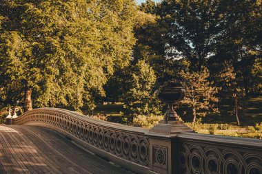 Central Park'taki Bow Köprüsü'nün manzara manzarası, New York, Abd