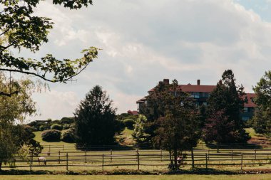 Newport, Rhode Island, ABD'de parkın yeşil bahar manzarasının manzara görünümü