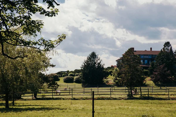 Malowniczy Widok Zielone Wiosenne Krajobrazy Parku Newport Rhode Island Usa Zdjęcie Stockowe