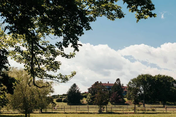 Malowniczy Widok Zielone Wiosenne Krajobrazy Parku Newport Rhode Island Usa Zdjęcia Stockowe bez tantiem