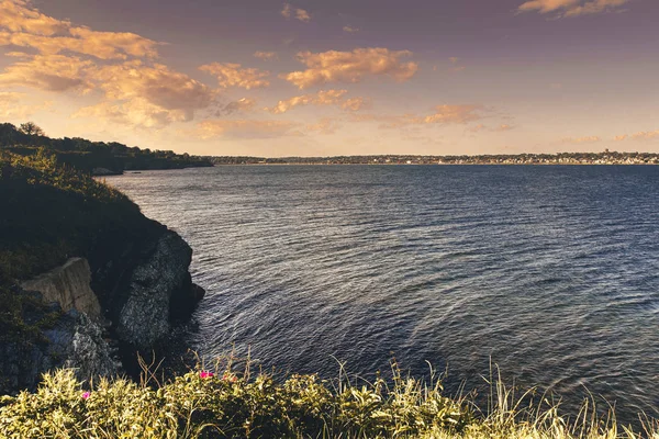 Schilderachtig Uitzicht Groene Rotsachtige Kust Van Newport Rhode Island Verenigde — Stockfoto