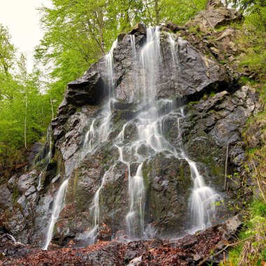 Bad Harzburg Almanya Harz National Park yakınındaki Radau'nun şelale 