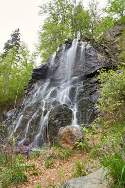 Bad Harzburg Almanya Harz National Park yakınındaki Radau'nun şelale 