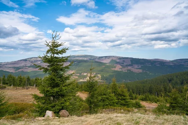 Vista Desde Wurmberg Hasta Parque Nacional Harz Fondo Está Cumbre —  Fotos de Stock