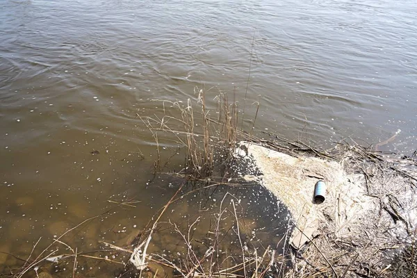 Contaminación Del Río Elba Cerca Magdeburgo — Foto de Stock