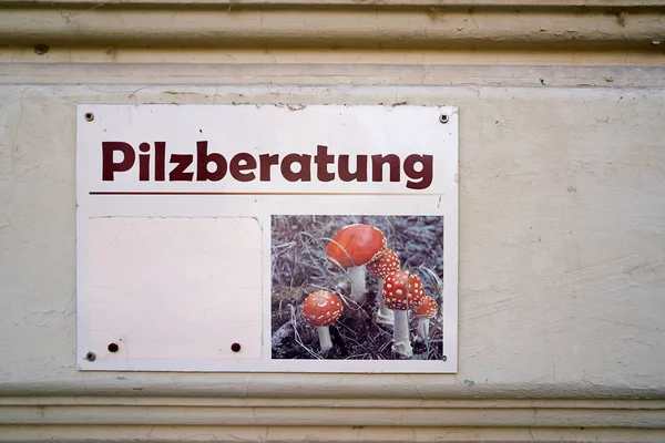 Sign Facade Inscription Mushroom Consultation — Stock Photo, Image