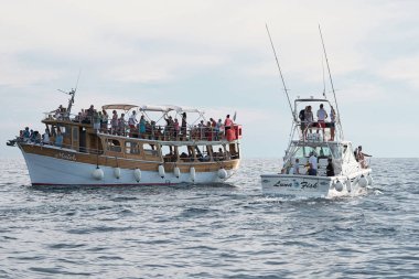 Porec, Hırvatistan - 22 Temmuz 2018: Turistlerin gezi tekne sahil Porec Hırvatistan yunuslar arayışı içinde kapalı                                