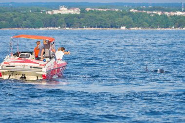  Porec, Hırvatistan - 22 Temmuz 2018: Sahil Porec Hırvatistan yunuslar arayışı içinde bir tekneden turist                              