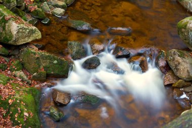   Nehir Ilse Ilsenburg Almanya Harz Ulusal Parkı                             