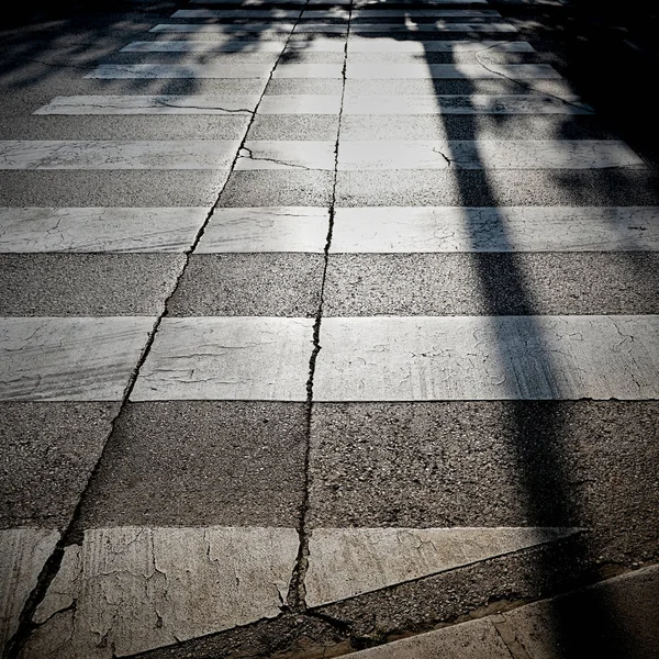 Zebra Cruzando Luz Fundo Cidade Velha Porec Croácia — Fotografia de Stock