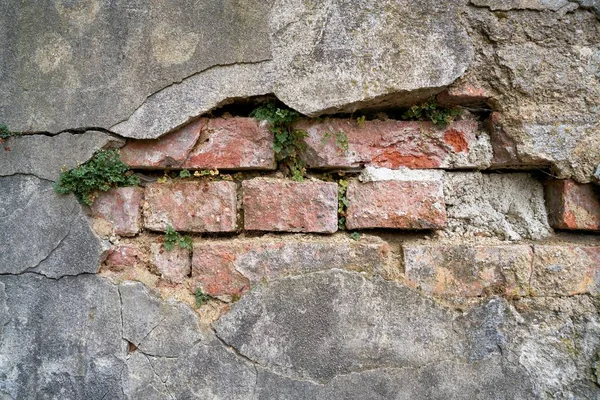 Zniszczone Ściany Roślinami Starym Mieście Karlowych Warach Czechach — Zdjęcie stockowe