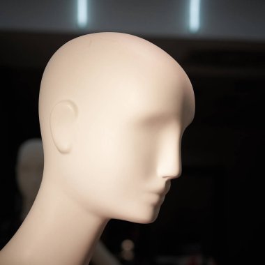  Vitrindeki mankenin başı                               