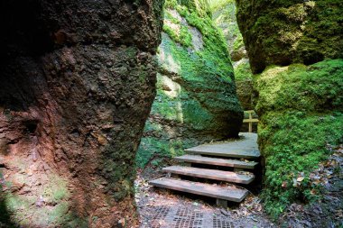 Thüringen'de Eisenach yakınlarındaki Wartburg eteklerinde Dragon Gorge ile Yürüyüş Trail