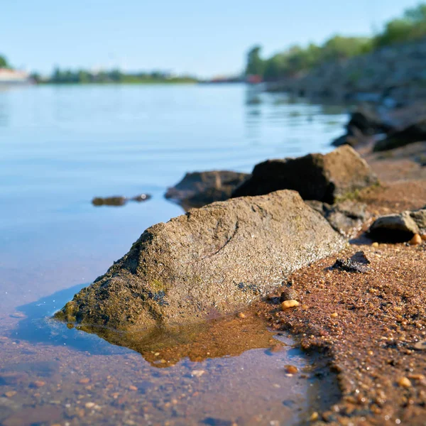 Bank River Elbe Magdeburg Elbe Cycle Route Summer Low Tide — Stock Photo, Image