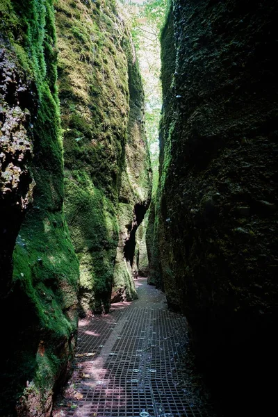 Hiking Trail through the Dragon Gorge at the foot of the Wartburg near Eisenach in Thuringia