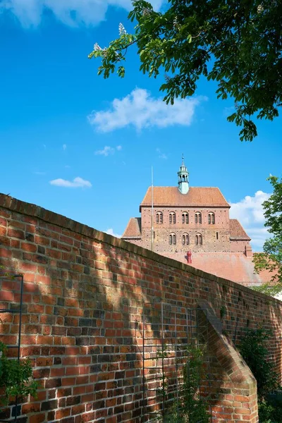 Vue Cathédrale Havelberg Sur Piste Cyclable Elbe Allemagne — Photo