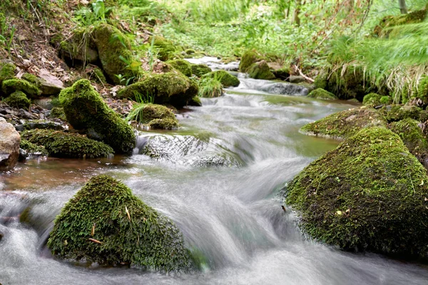 Arroyo Montaña Bosque Turingia Friedrichsroda Alemania — Foto de Stock