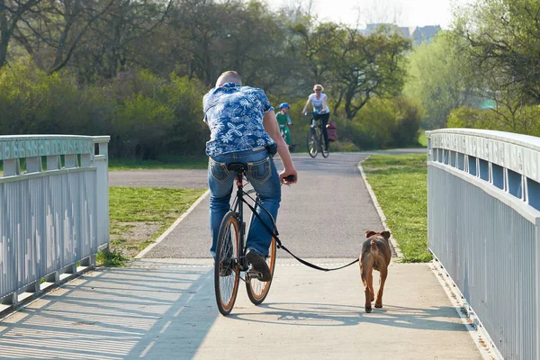 Magdeburg Tyskland April 2019 Cyklister Cykelväg Stranden Elbe Distriktet Salbke — Stockfoto