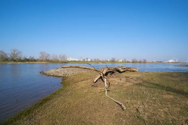 マクデブルク近郊のエルベ川 背景に工業地帯Rothensee — ストック写真