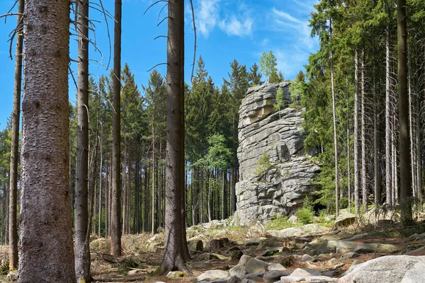 Feuersteinklippe Koło Schierke Parku Narodowym Harz Niemczech — Zdjęcie stockowe