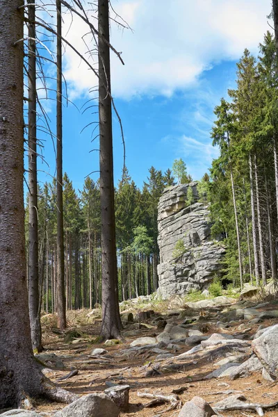 Almanya Daki Harz Ulusal Parkı Nda Schierke Yakınlarında Feuersteinklippe — Stok fotoğraf