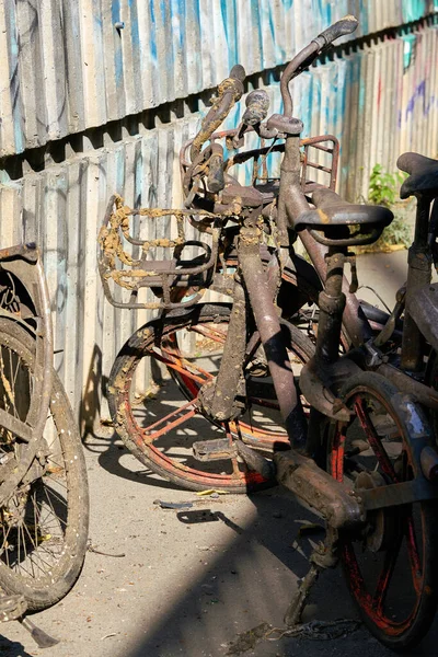 Bicicletas Antiguas Alquiler Oxidadas Sacadas Del Río Spree Orillas Del —  Fotos de Stock