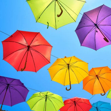  Hırvatistan 'ın eski Novigrad kentinde dekorasyon amaçlı renkli şemsiyeler                              