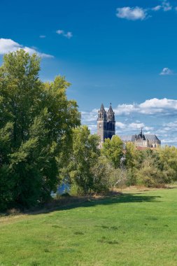 Almanya 'nın Magdeburg şehrinin simgesi olan Elbe Nehri' nden Magdeburg Katedrali 'ne uzanan çayıra bakın.